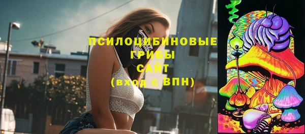 СК Володарск