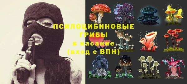 гидра Волосово